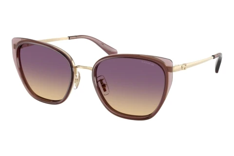 Sonnenbrille Coach CDP56 (HC7187 948570)