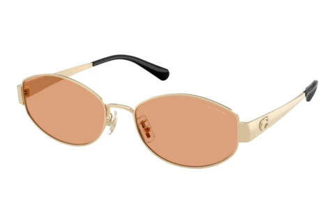 Sonnenbrille Coach CDP44 (HC7192D 900584)