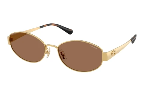 Sonnenbrille Coach CDP44 (HC7192D 944113)