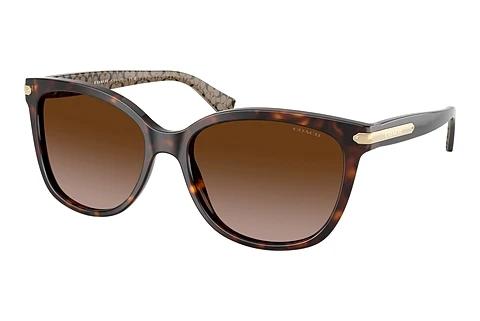 Sonnenbrille Coach L109 (HC8132 529113)