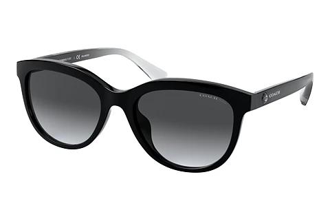 Sonnenbrille Coach L1137 (HC8285U 5002T3)
