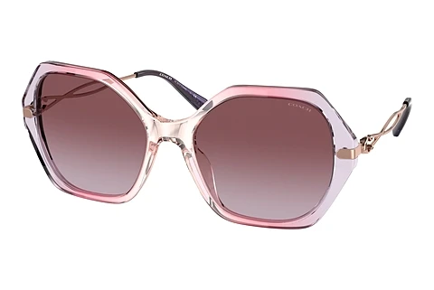 Sonnenbrille Coach C3445 (HC8315 56418H)