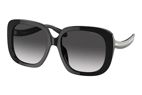 Sonnenbrille Coach C6185 (HC8323U 50028G)