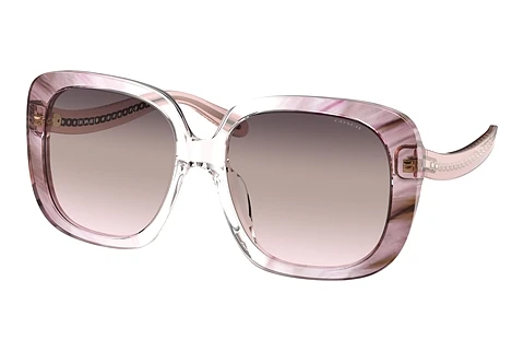 Sonnenbrille Coach C6185 (HC8323U 5656U8)