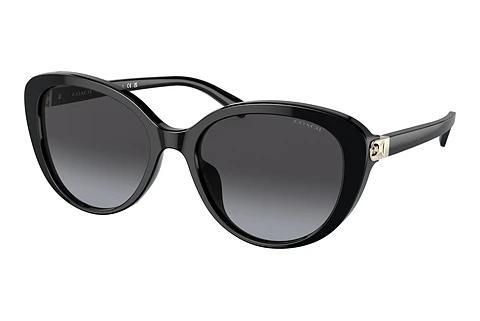 Sonnenbrille Coach CD479 (HC8348U 50028G)