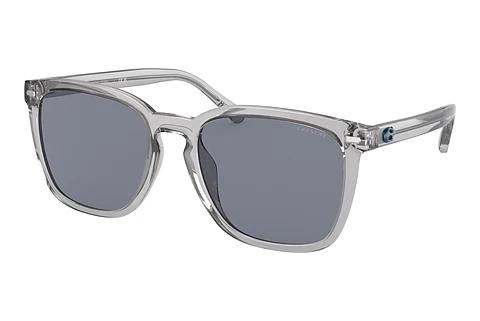 Sonnenbrille Coach CD458 (HC8354U 571855)