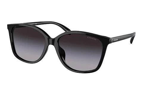 Sonnenbrille Coach CH558 (HC8361U 50028G)