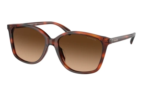 Sonnenbrille Coach CH558 (HC8361U 574174)