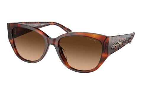 Sonnenbrille Coach CH563 (HC8362U 574174)
