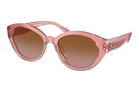 Sonnenbrille Coach CH569 (HC8364U 574313)
