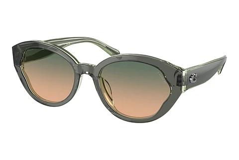 Sonnenbrille Coach CH569 (HC8364U 574613)