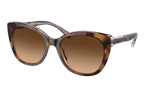 Sonnenbrille Coach CH566 (HC8365U 574274)