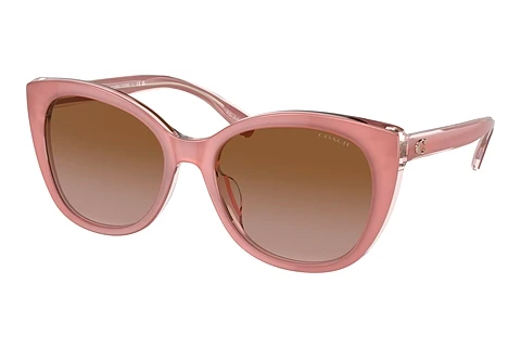 Sonnenbrille Coach CH566 (HC8365U 574313)
