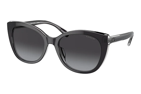 Sonnenbrille Coach CH566 (HC8365U 57458G)