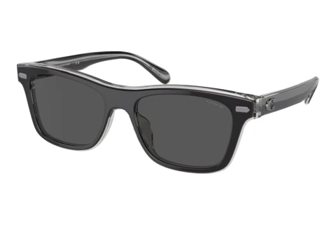 Sonnenbrille Coach CH583 (HC8371U 574587)