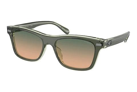 Sonnenbrille Coach CH583 (HC8371U 574613)