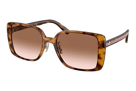 Sonnenbrille Coach CH562 (HC8375 512013)