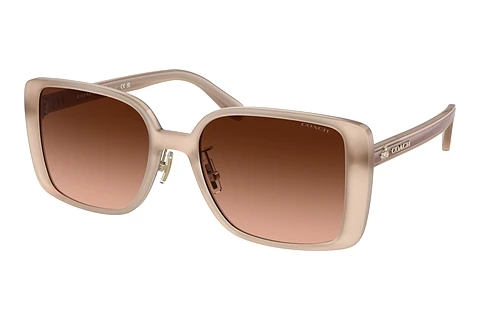 Sonnenbrille Coach CH562 (HC8375 57475M)