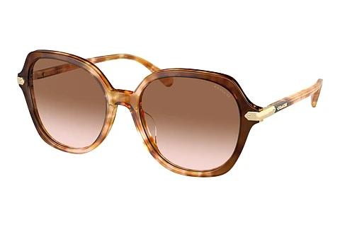 Sonnenbrille Coach CL925 (HC8377U 57753C)