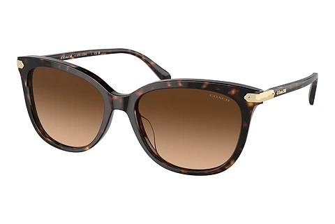 Sonnenbrille Coach CL926 (HC8378U 512074)