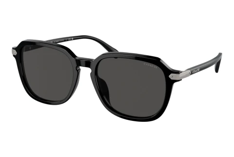 Sonnenbrille Coach CL912 (HC8383U 500287)