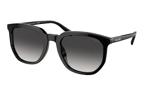 Sonnenbrille Coach CL911 (HC8384U 50028G)