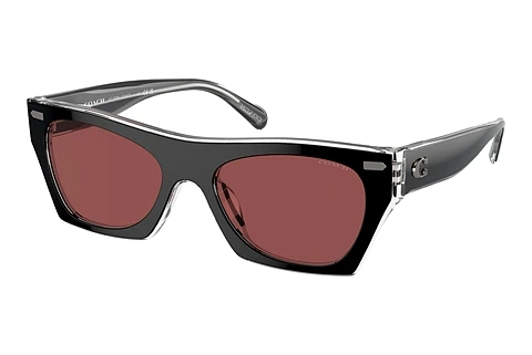 Sonnenbrille Coach CL917 (HC8389U 572875)