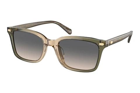 Sonnenbrille Coach CR630 (HC8398U 5797G9)