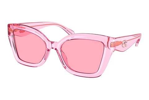 Sonnenbrille Coach CS544 (HC8405U 583084)