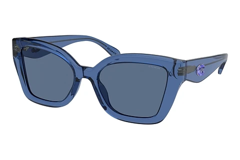 Sonnenbrille Coach CS544 (HC8405U 583180)