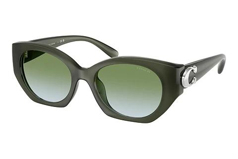 Sonnenbrille Coach CW194 (HC8407U 584017)