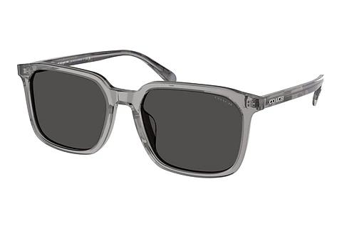 Sonnenbrille Coach CW405 (HC8411U 584987)