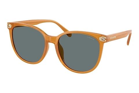 Sonnenbrille Coach CW428 (HC8414BD 585580)