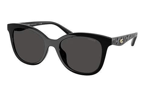 Sonnenbrille Coach CAD25 (HC8419U 500287)