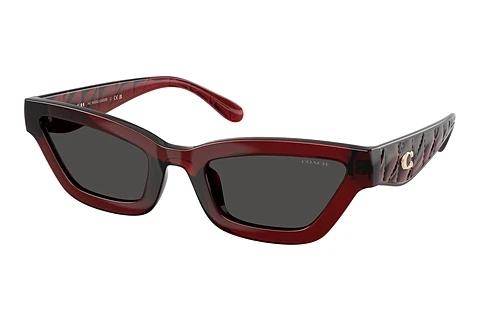 Sonnenbrille Coach CAD28 (HC8420U 587487)