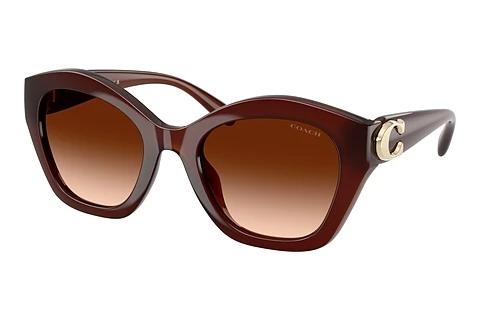 Sonnenbrille Coach CAD31 (HC8421U 584174)