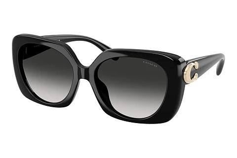 Sonnenbrille Coach CAD33 (HC8422U 50023C)