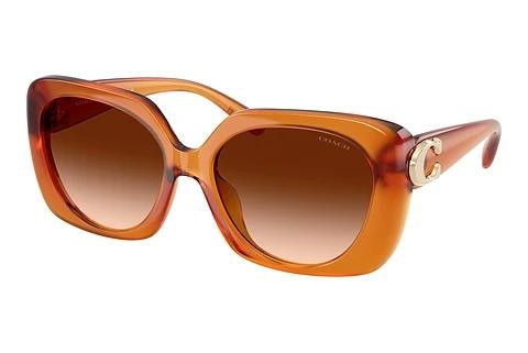 Sonnenbrille Coach CAD33 (HC8422U 564774)