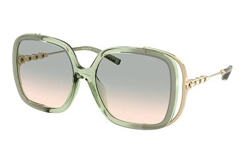 Sonnenbrille Coach CAD80 (HC8423U 58902C)