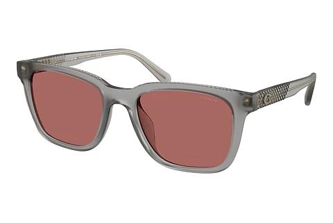 Sonnenbrille Coach CAD81 (HC8426U 58750H)