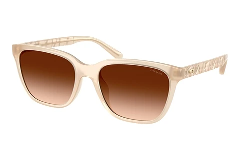 Sonnenbrille Coach CAE86 (HC8429D 588374)