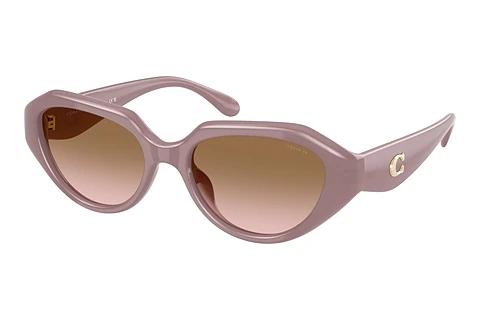 Sonnenbrille Coach CBY77 (HC8433U 549511)