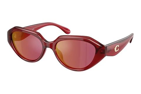 Sonnenbrille Coach CBY77 (HC8433U 5526D0)