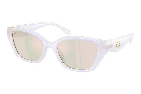 Sonnenbrille Coach CBY91 (HC8434U 5903RG)