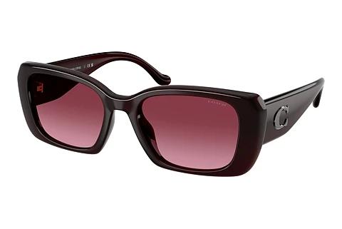 Sonnenbrille Coach CBY82 (HC8435U 59158H)