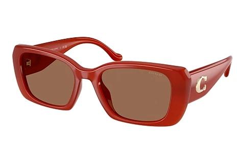 Sonnenbrille Coach CBY82 (HC8435U 591673)