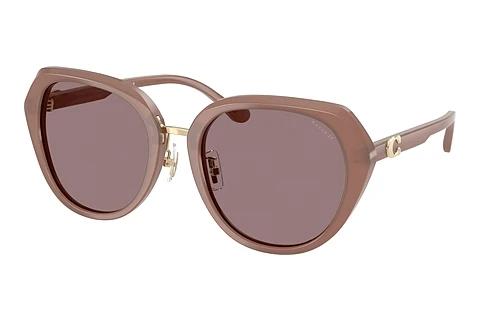 Sonnenbrille Coach CBY93 (HC8436 54957N)