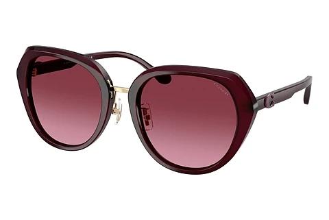 Sonnenbrille Coach CBY93 (HC8436 59158H)