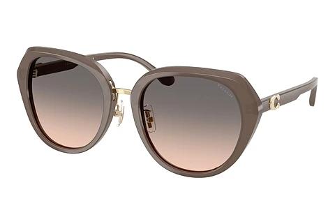Sonnenbrille Coach CBY93 (HC8436 5917G9)