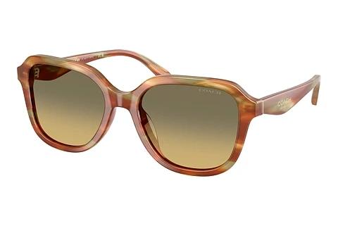 Sonnenbrille Coach CBY87 (HC8437U 5898L0)